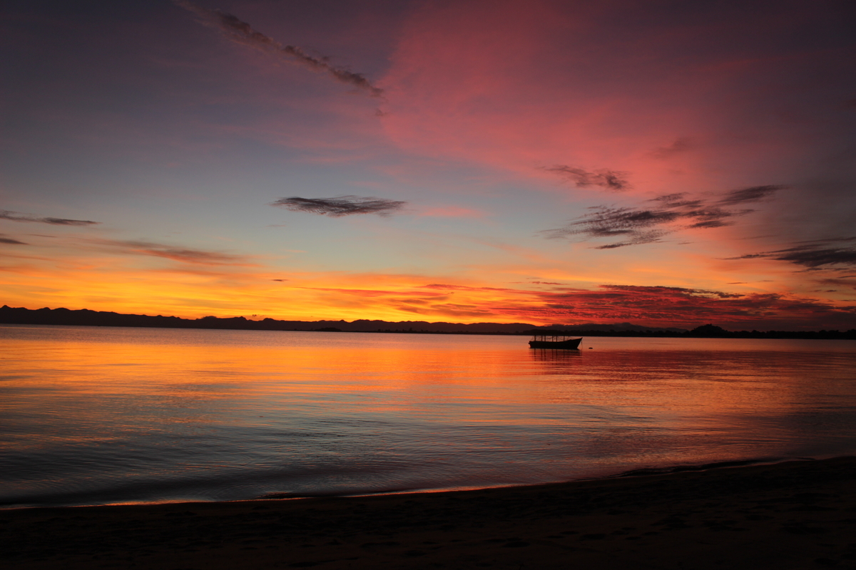 f:id:brave-nobles:20200206160517j:plain