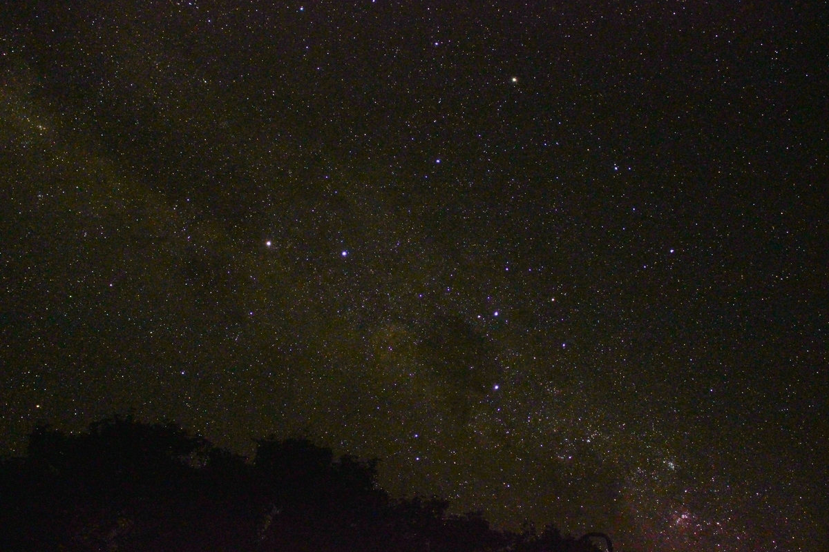 f:id:brave-nobles:20200206160703j:plain