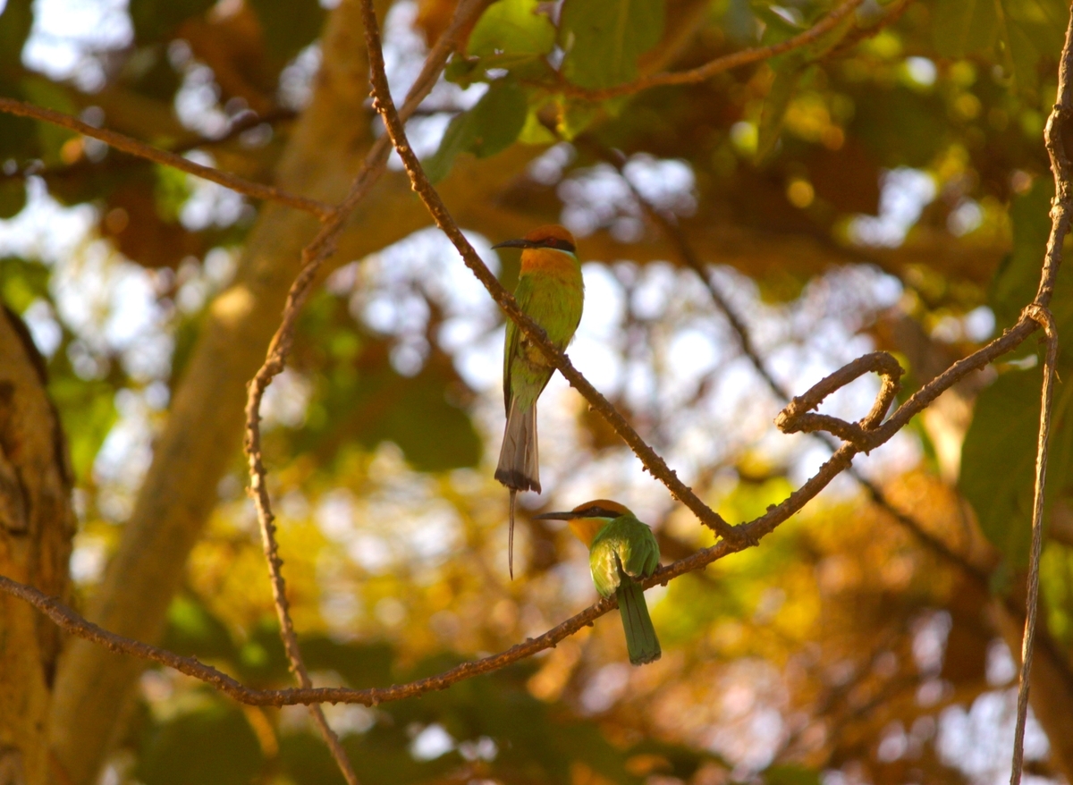 f:id:brave-nobles:20200206160734j:plain