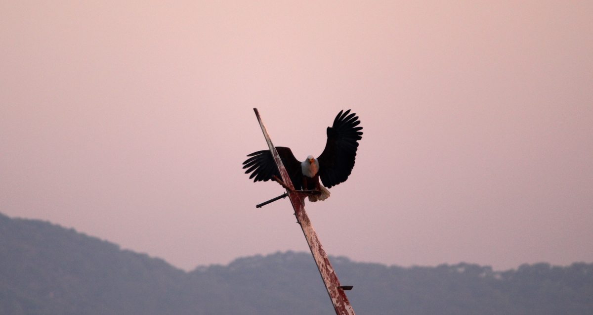 f:id:brave-nobles:20200206160812j:plain