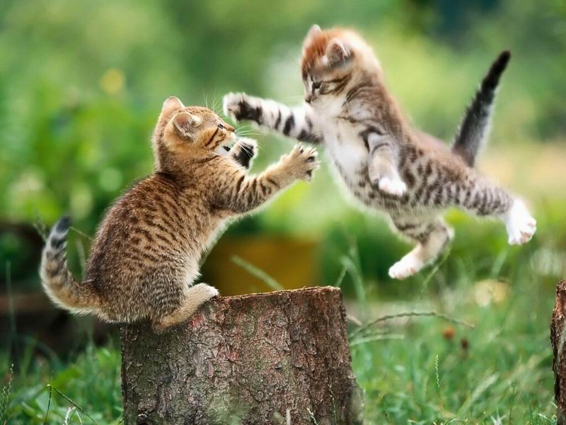 f:id:bravi:20050430235130j:image:w360