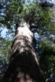 f:id:bravi:20140805143939j:image:medium