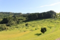 f:id:bravi:20140807153836j:image:medium