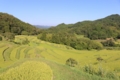 f:id:bravi:20140807154042j:image:medium