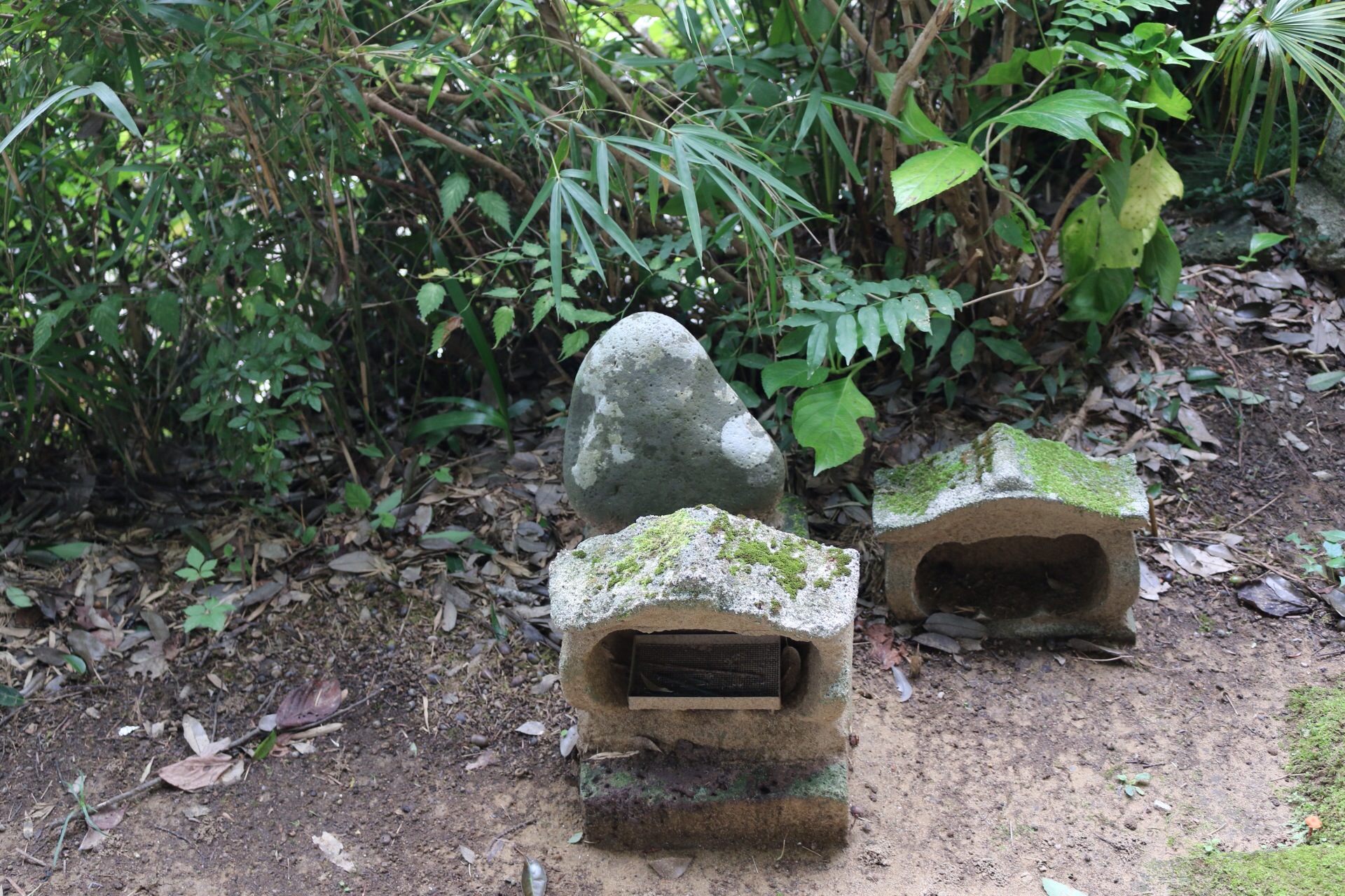 個別「重願寺の花井お梅の墓（千葉県佐倉市）」の写真、画像 bravi's fotolife