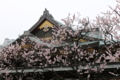 f:id:bravi:20150314234114j:image:medium