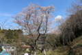 f:id:bravi:20150329194142j:image:medium