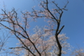 f:id:bravi:20150331205100j:image:medium