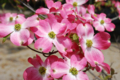 f:id:bravi:20151227074550j:image:medium