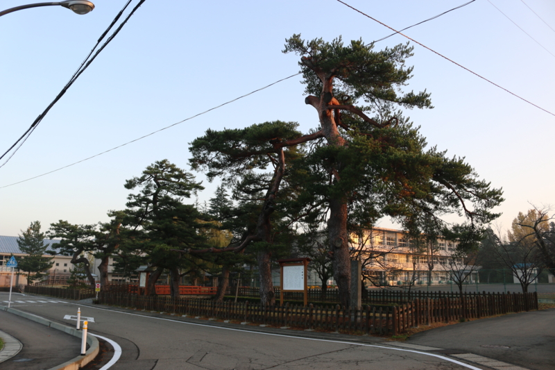 八森城跡。打越光隆は大阪の役の功績で出羽国矢島３千石を加増。