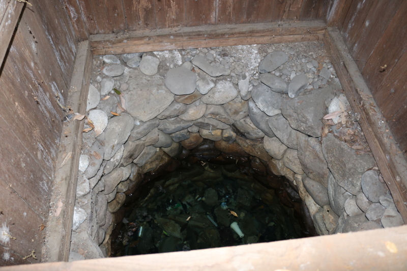 紀貫之の娘が業平を偲んで姿を映した井筒の水鏡