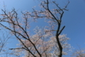 f:id:bravi:20170625165043j:image:medium