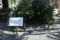 f:id:bravi:20170716153434j:image:small