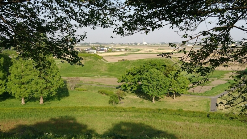 忍城を水攻めにした石田堤の一部