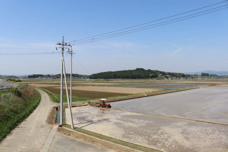 久慈川を背にして梵天山（正面丘）を望む島村の古戦場