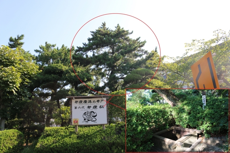 弁慶松と弁慶産湯井戸（和歌山県田辺市役所）