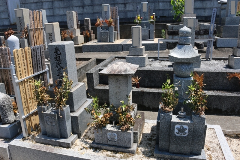 紀州藩士、打越氏末裔の墓（橘紋）