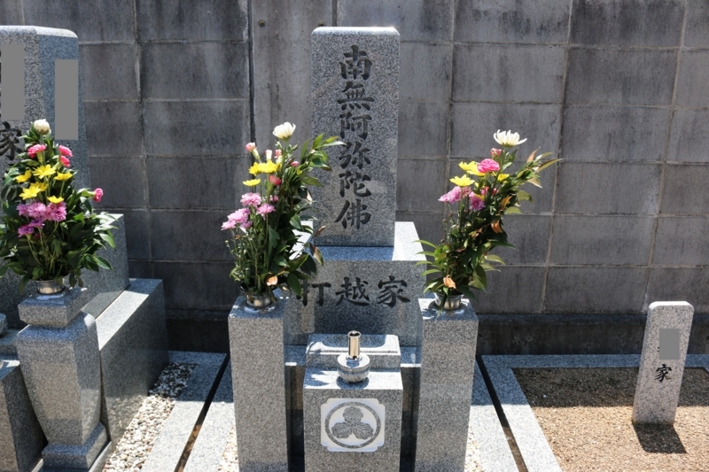 熊野神社の神門や根来寺の寺紋と同じ三つ柏