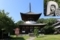 根来寺の多宝塔と寺紋（三つ柏）