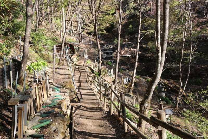 すげの沢（４名の生存者が発見された場所）