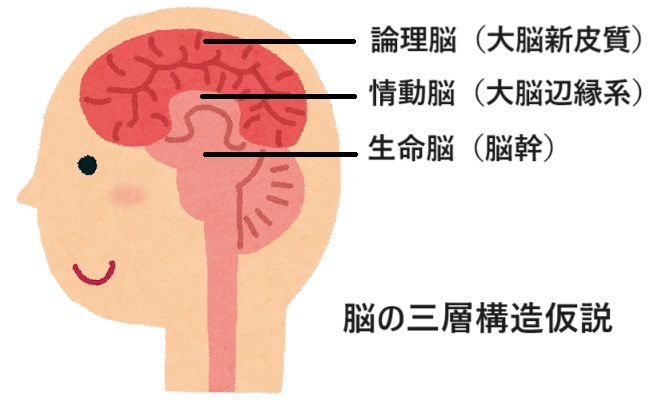 https://cdn-ak.f.st-hatena.com/images/fotolife/b/bravi/20231108/20231108124132.png