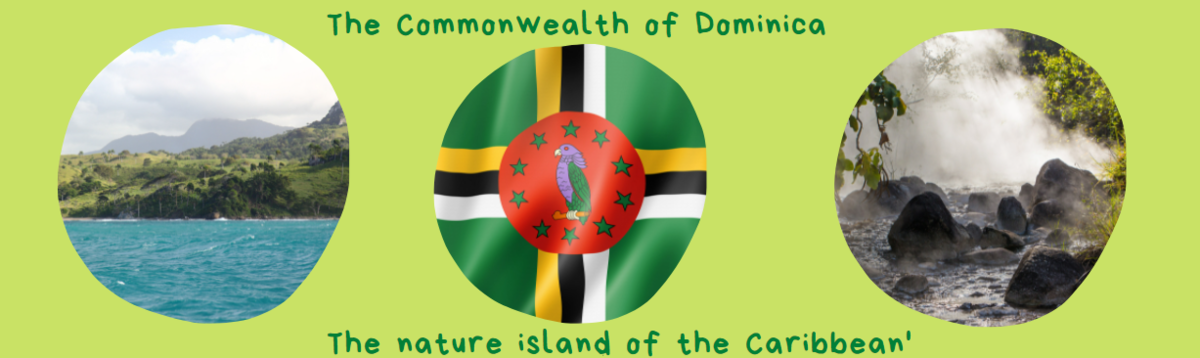 f:id:bravogreen:20210612084119p:plain