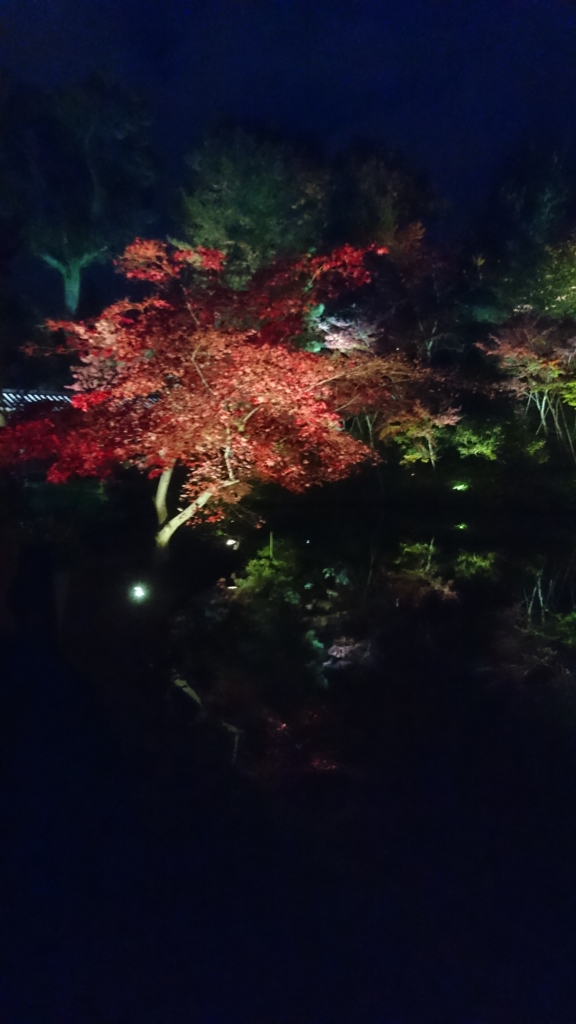 f:id:brcxy:20161122221048j:plain f:id:brcxy:20161122221048j:plain