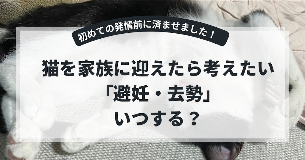 f:id:breadsweets:20250630194125p:image f:id:breadsweets:20250630194125p:image