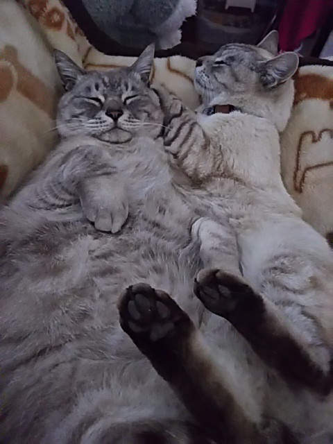 イメージ 1