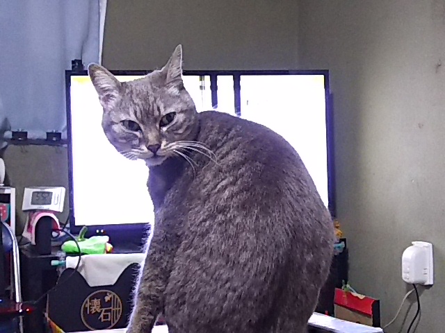 イメージ 3