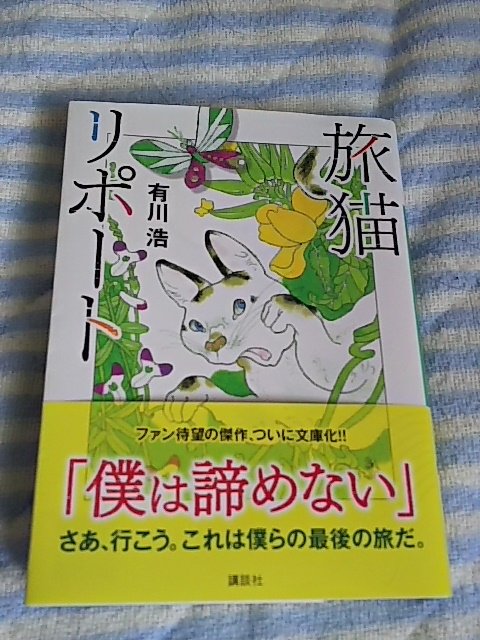 f:id:break-muku:20190809221303j:plain
