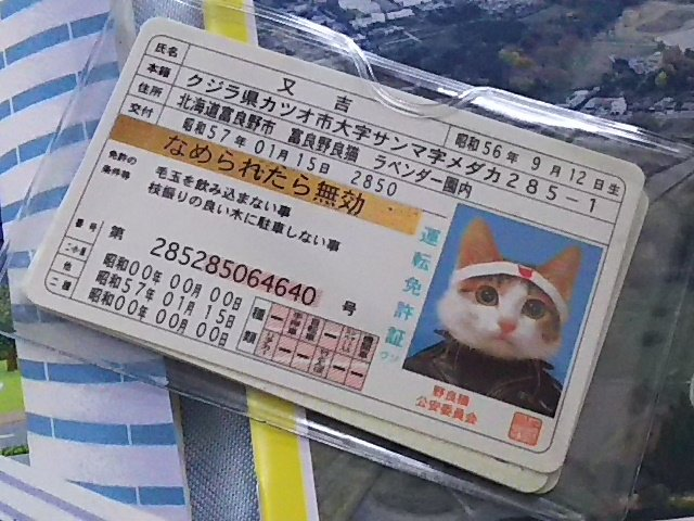 f:id:break-muku:20190913183332p:plain f:id:break-muku:20190913183332p:plain