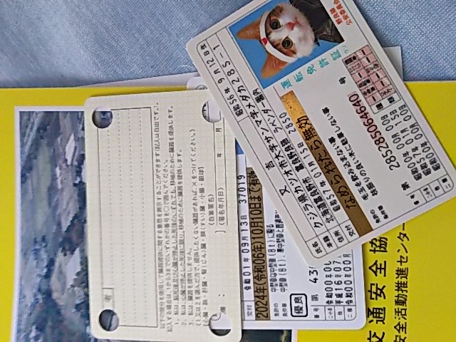f:id:break-muku:20190913203157j:plain f:id:break-muku:20190913203157j:plain