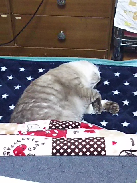 f:id:break-muku:20200219231208j:plain