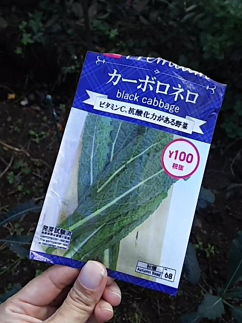 f:id:break-muku:20211110171844p:plain