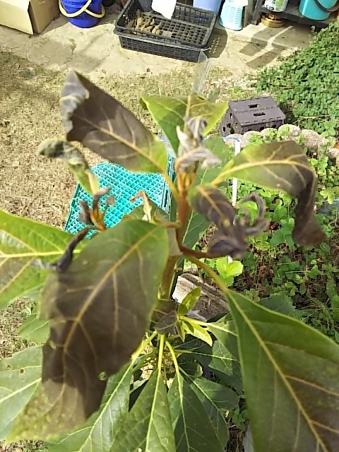 f:id:break-muku:20211130092612p:plain