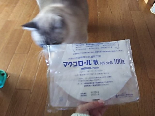 f:id:break-muku:20220111091220p:plain