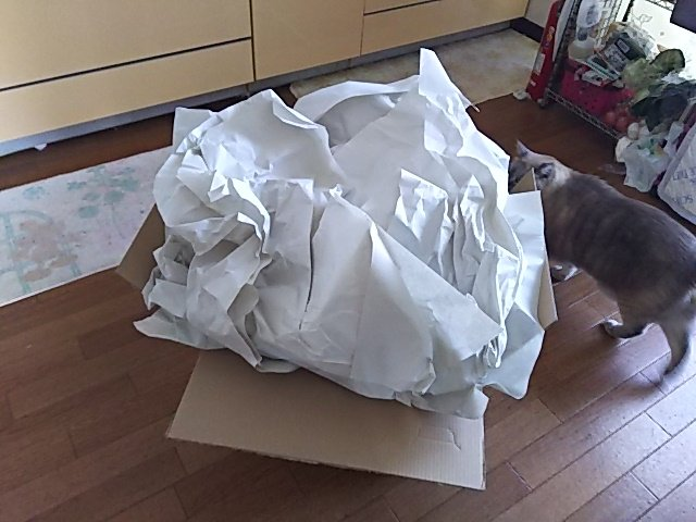 f:id:break-muku:20220122234349p:plain