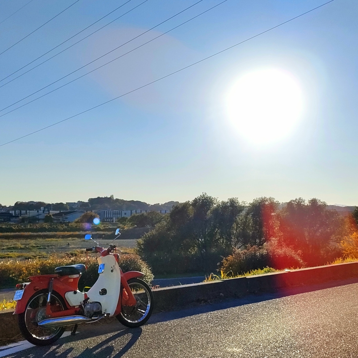 c100純正シート