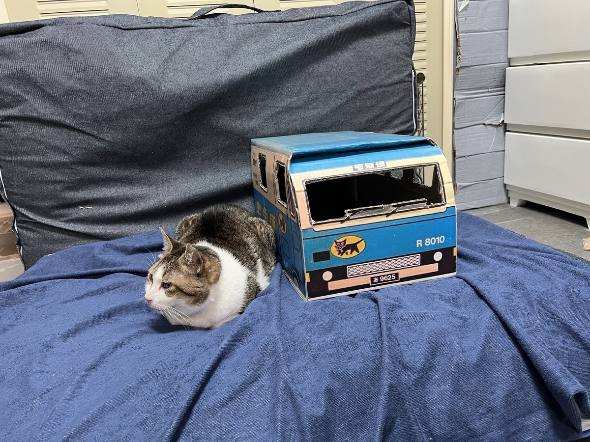 キジシロの猫ちゃんと、隣には、段ボールで作ったクロネコヤマトの車。