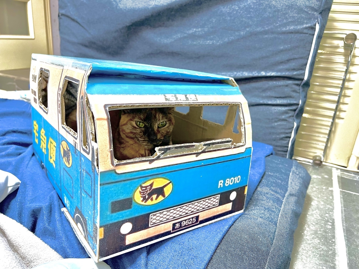 サビ猫ちゃんが、段ボールで作ったクロネコヤマトの車に、入ってくれました！