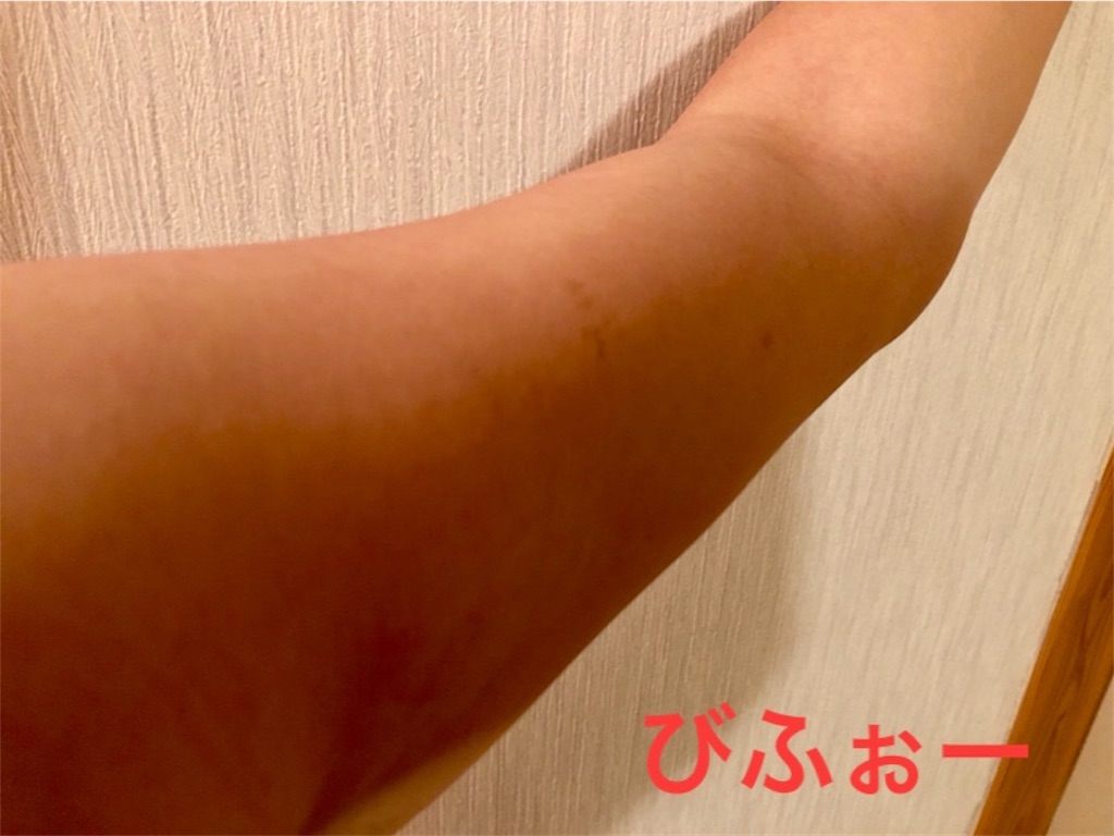 逆腕立てと腕振りの効果は 私はブレンダになりたいっ