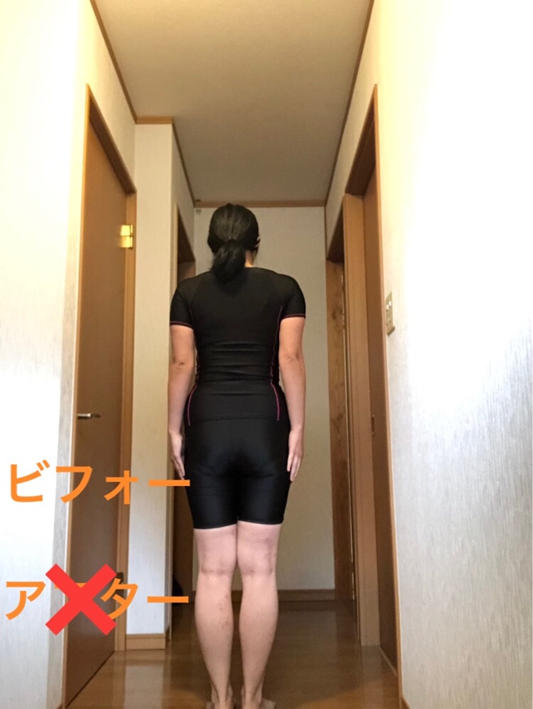 f:id:brenda414:20181209104816j:image f:id:brenda414:20181209104816j:image