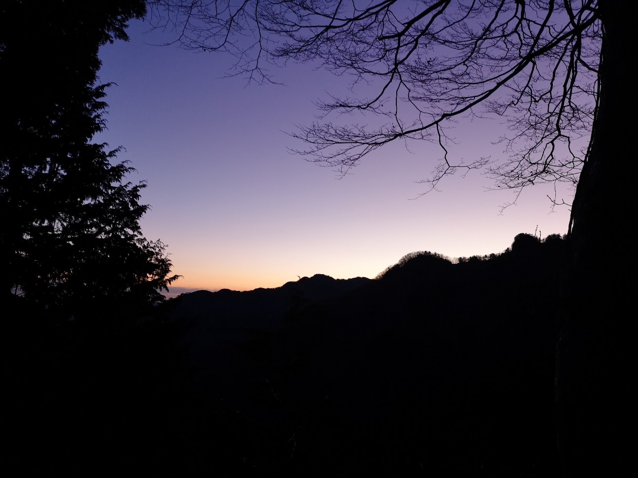 f:id:brghtening_hiroki:20190704083541j:image