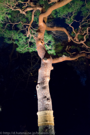 f:id:briareos156:20131128235515j:image