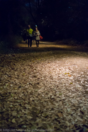 f:id:briareos156:20131128235522j:image