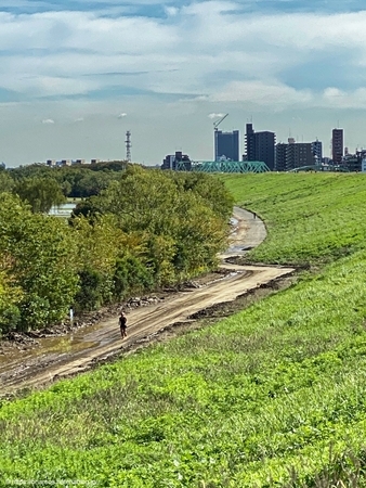 f:id:briareos156:20191027122430j:image