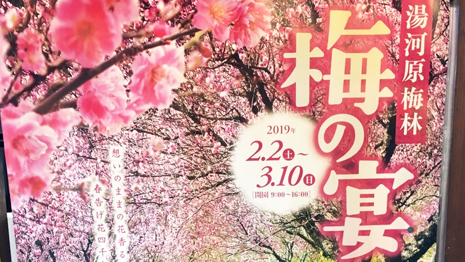 f:id:bridal-npo:20190119191241j:plain f:id:bridal-npo:20190119191241j:plain