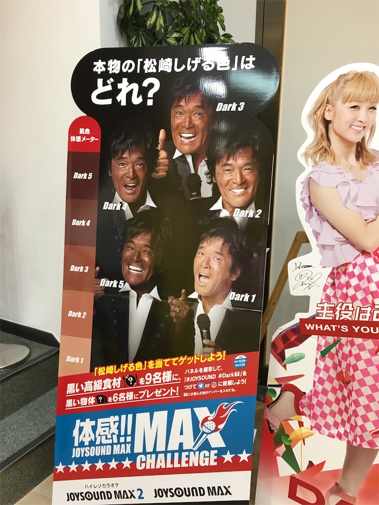 f:id:bridge-writer:20180107190617j:image f:id:bridge-writer:20180107190617j:image