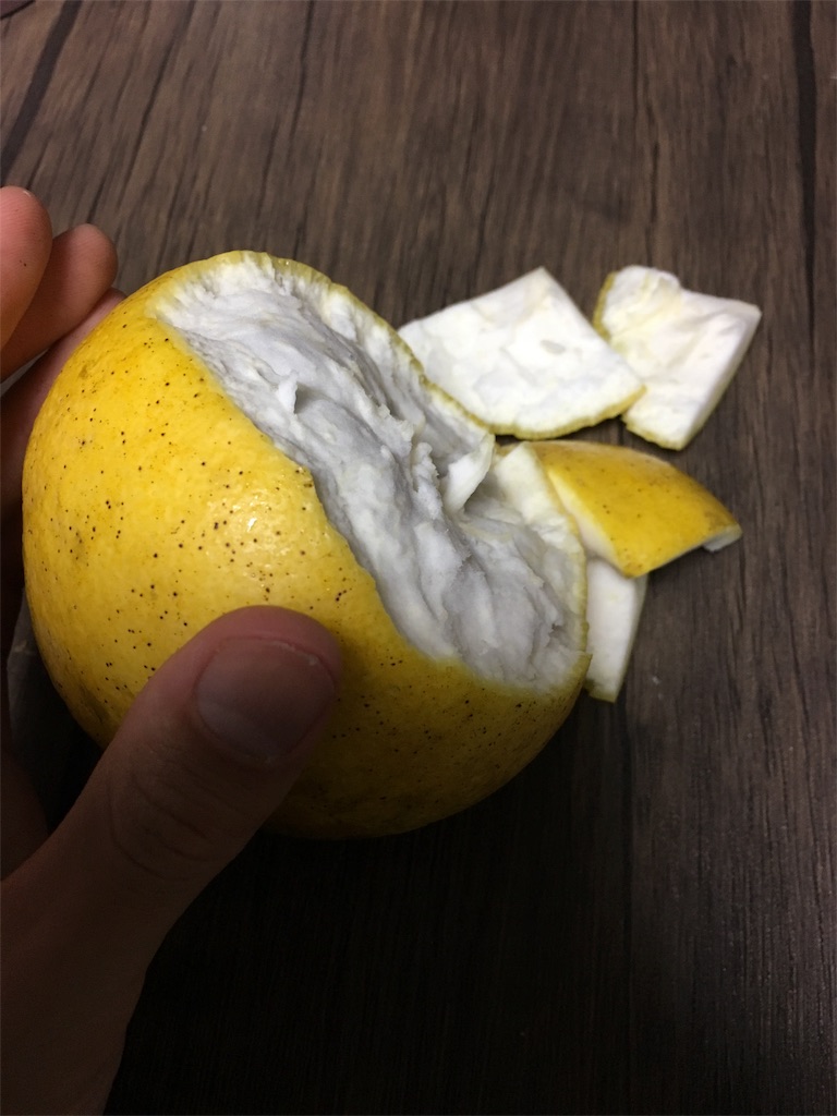 f:id:bridge-writer:20180309074443j:image